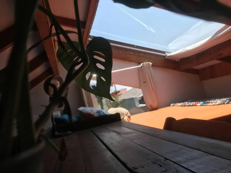 Durma Olhando O Ceu Em Cabana Com Claraboia 페냐