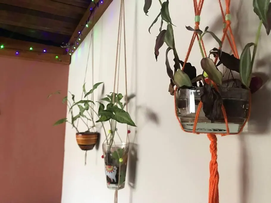Durma Olhando O Ceu Em Cabana Com Claraboia 페냐 브라질